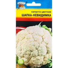 Cabbage Cabbage Seeds 