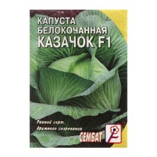 White cabbage seeds 