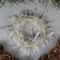 Garland “thread” 5 m, IP20, transparent thread, 50 LED, glow warm white, 8 modes, 220 V