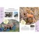 Encyclopedia. The colorful world of animals