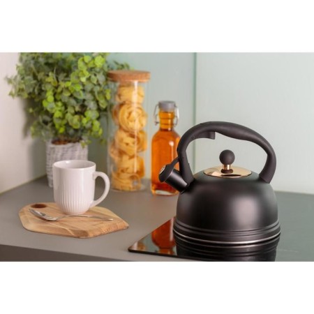 A kettle with a whistle OTTO 2 l-1