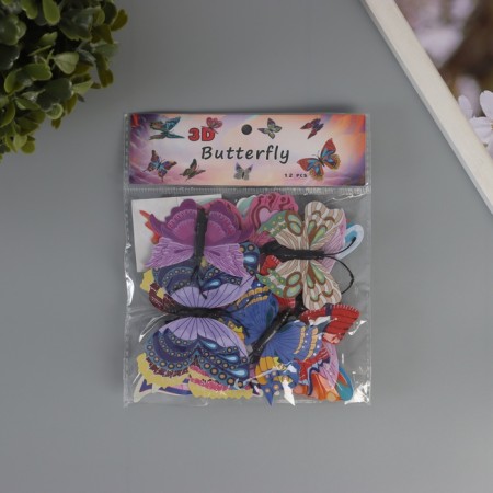 Magnet Plastic "Butterfly with delicate patterns" set of 12 pcs 6; 8; 10; 12 cm-2