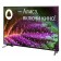 TV Doffler 50kus65, 50 ", 3840x2160, DVB-T/T2/C/S2, HDMI 3, USB 2, Smart TV, Black