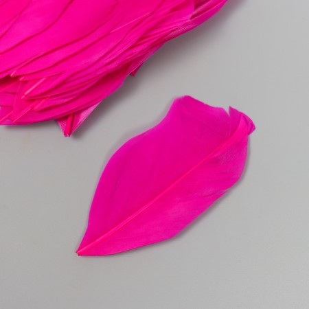 Decorative goose “fuchsia” pen in the shape of a sheet set 40 pcs h = 5-7 cm-1