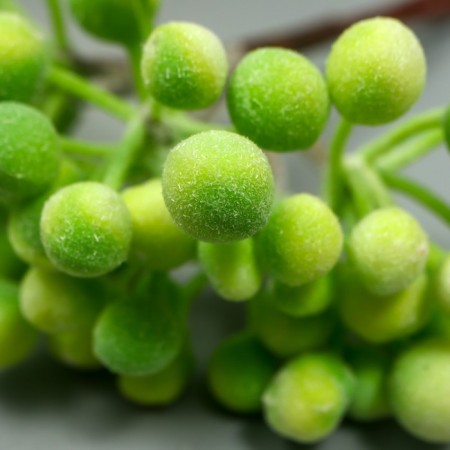 Decor for creativity "Berries" 1 bouquet = 6 branches green 10 cm-3