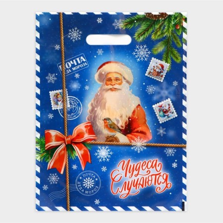 New Year. Package "Mail from Santa Claus", plastic with a cut pen, 30 x 40 cm.