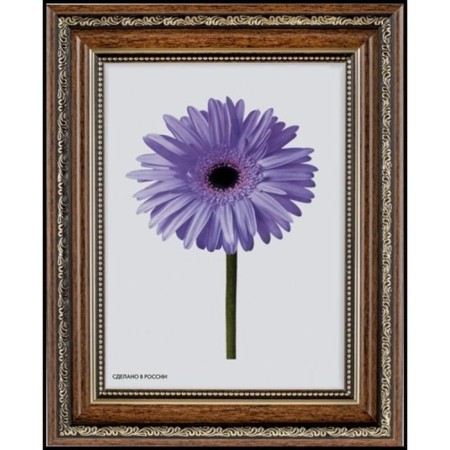 Frame for paintings (mirrors) 30 x 40 x 3.3 cm, plastic, dorothy, brown-2