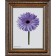 Frame for paintings (mirrors) 30 x 40 x 3.3 cm, plastic, dorothy, brown
