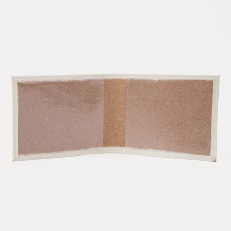 Cover for a student ticket, beige color-2
