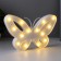 Night Plastic from batteries 2AA "Butterfly" mix 17x25.8x2.8 cm Risalux