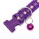Collar "paw and bone" with a bell, width 1.5 cm, Osh 30, purple