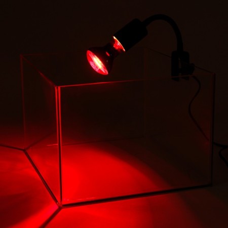 Terrarium lamp, adjustable, with a switch-3