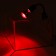 Terrarium lamp, adjustable, with a switch