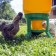 Bunker feeder for poultry for 28 kg, on legs, plastic, kubic premium