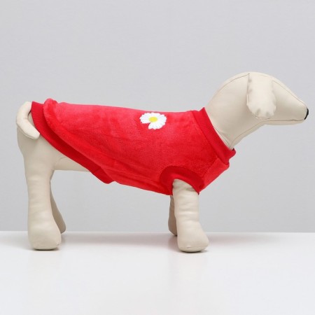 Sweatshirt "Chamomile", Velsoft, Size M, Red (DS 28, Osh 24, OG 38 cm)-1