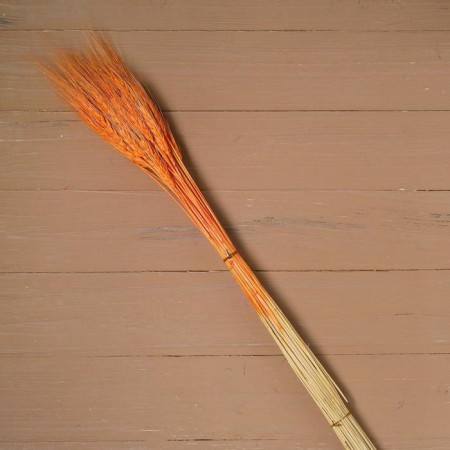 Dry wheat column, set 50 pcs., Orange color-3