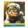 Notebook 48l Cl cats Artists, regional cards, rounded carrier, BL 65g/m2, mix