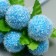 Stamens for flowers "Blue Blue Ball" d = 1.5-2 cm 1 bouquet = 10 pcs 10 cm