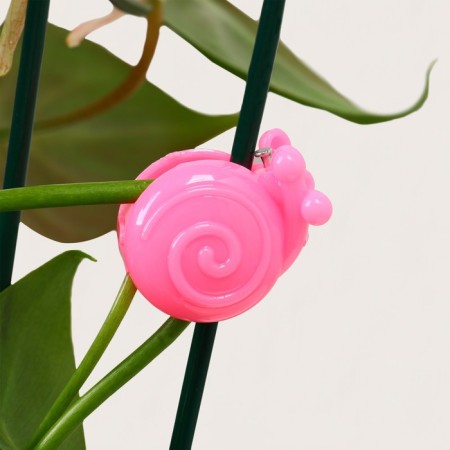 Clips for plants "Snail", set 10 pcs., Mix, Greengo-6