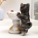 Garden Figure-feeder "cat with a vase" 21x13x20cm