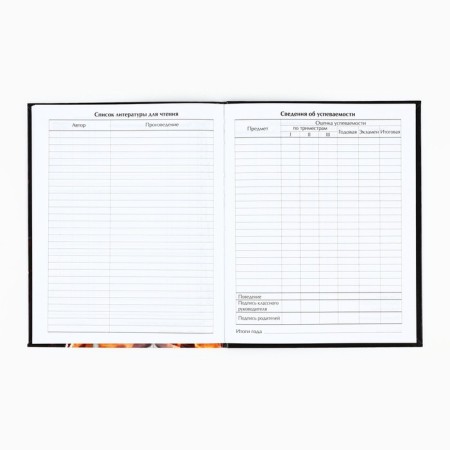 School diary for grade 1-11, in an integrated cover, 40 l. "Extreme Football"-3