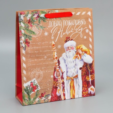 Craft vertical packet "Mail Santa Claus", M 26 x 30 x 9 cm, New Year-1