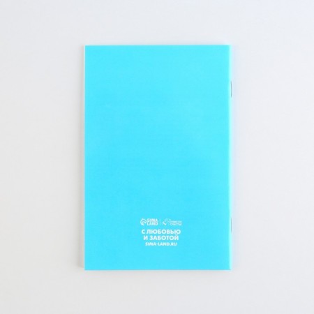 Veterinary passport international "Red cat"-6