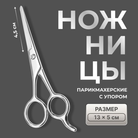 Hairdressers scissors with emphasis, blade - 4.5 cm, silver color