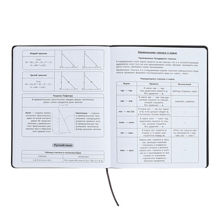 The universal diary for the 1-11 classes "Anime", a solid cover made of artificial leather, application, lies, 48 ​​sheets, black-9