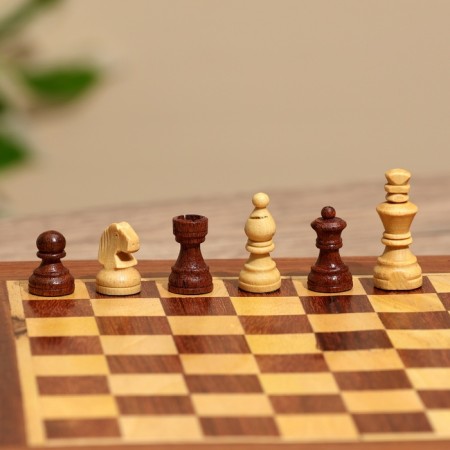 Magnetic chess 20.5x20.5x3.5 cm, shisham tree-5