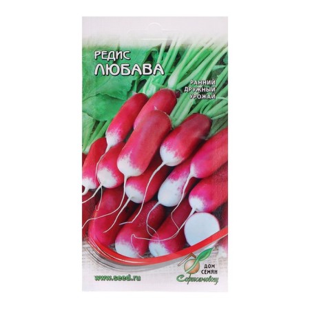 Seeds Radis "Lyubava", 145 pcs