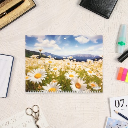 Quarterly calendar, chamomile trio 2025, 73 x 29 cm-1