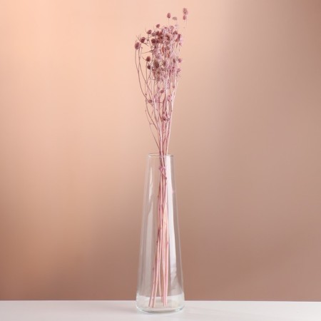 A set of dried flowers "Eringium", ban 5 pcs, length 50 (+/- 6 cm), pink
