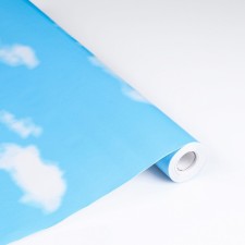 The self -adhesive 