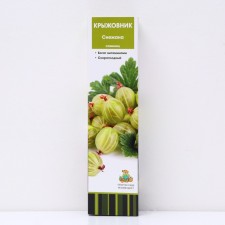 Gooseberry 
