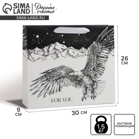 Package Gift Laminated Horizontal, Packaging, "Eagle", M 25.5 x 30 x 9 cm