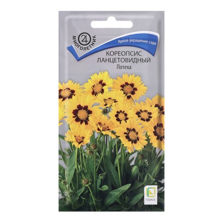 Coreopsis seeds lanceolate "fun", 0.1 gr