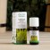 Essential oil "Tea tree" 10 ml oleos