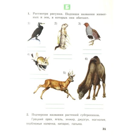 Training apparatus. GEF. The world. Multi -level tasks for the teaching materials of Pleshakova Grade 4. Maksimova T.N.-1