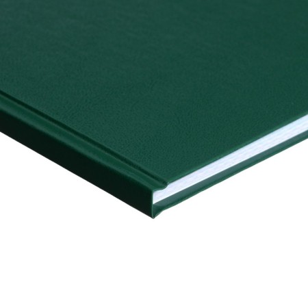 Book of accounting, 96 sheets, boumvinyl cover, offset block, cell, green color-2
