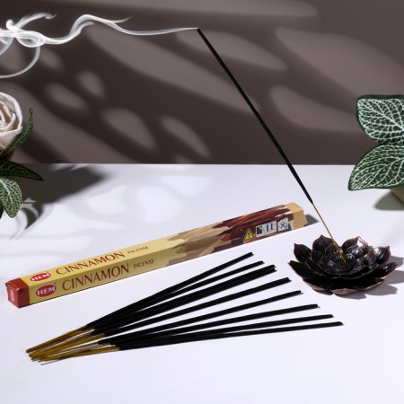 Incense hem "cinnamon. Cinnamon", 8 sticks in the package, four -grade
