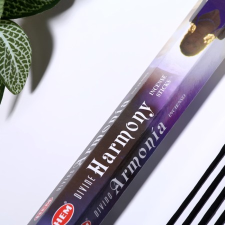 Incense hem "Divine Harmony deities. Harmonium", 20 sticks in packaging, hexagon-1