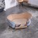 Sulperion Teddy, 86x54x37 cm, furniture fabric, size m, beige