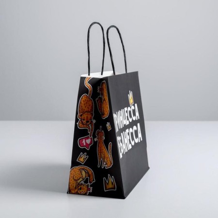 Gift package, packaging, "princess", 22 x 22 x 11 cm-1