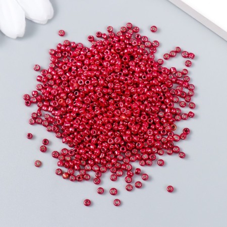 Beads "Astra" 11/0, 20 g (1117 red/glossy coating)-1