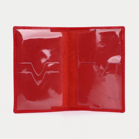 Cover for passport, red color-2