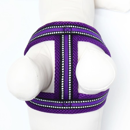 The ammunition set is soft, reflective, leash 120 x 2 cm, Osh 25-72 cm, purple-7