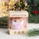 Christmas ball D-8 cm "Angel"