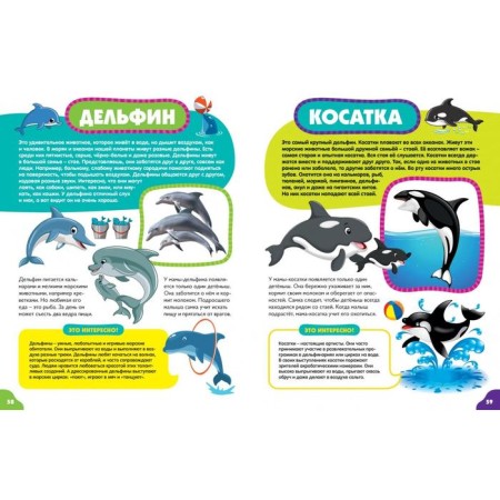 Animals for kids-12