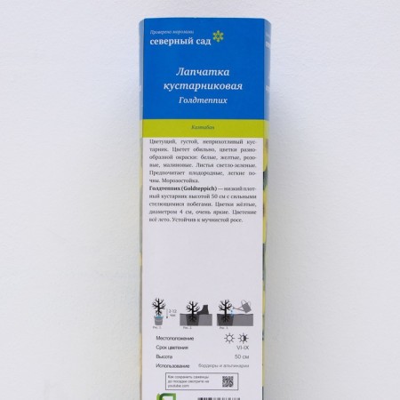 Lapceta shrubby (series Northern Garden) "Goldteppicha", 1 pc, tube, spring 2025-1